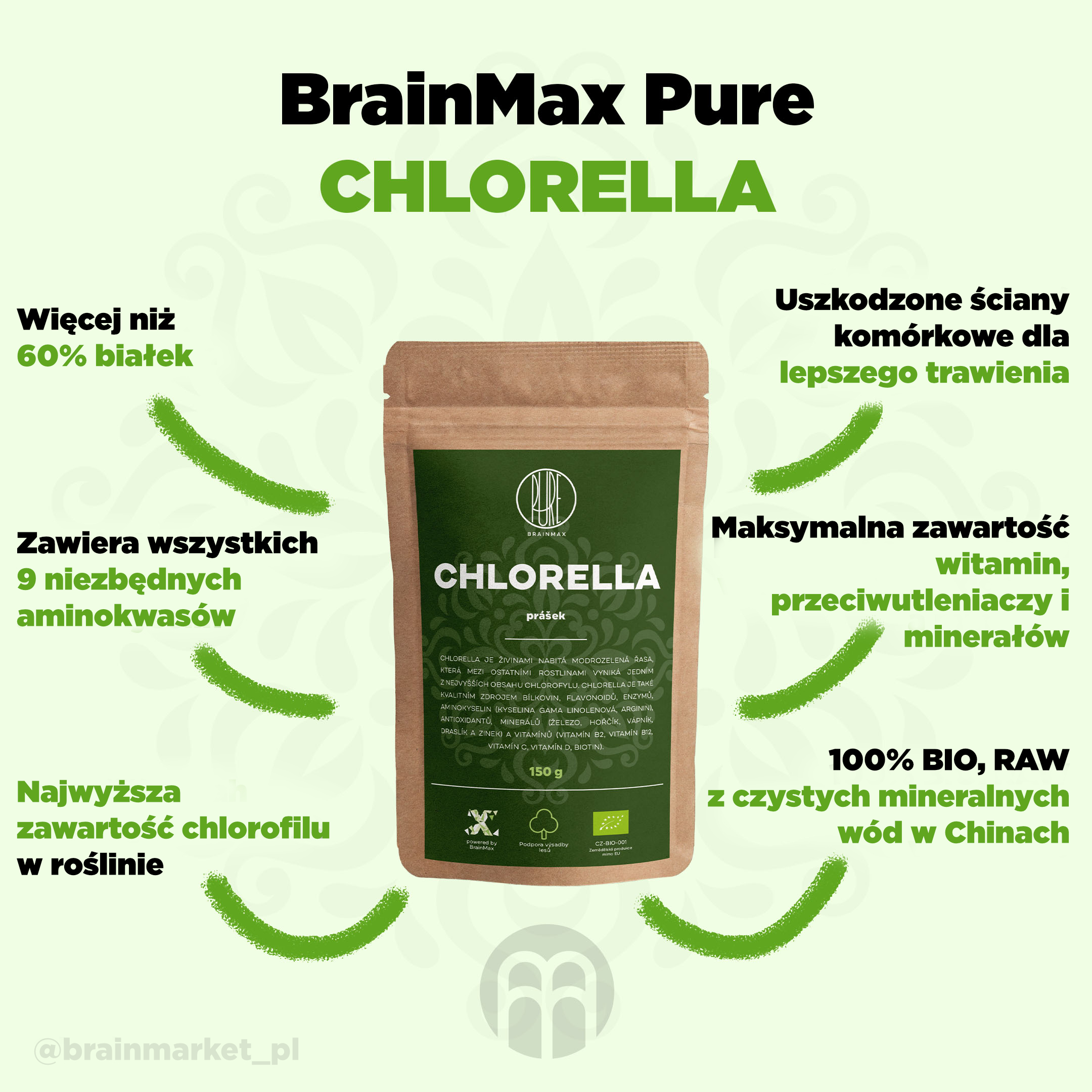 chlorella_pavouk_pl